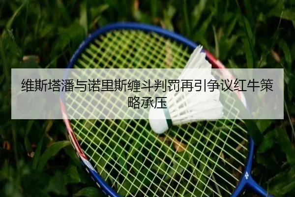 维斯塔潘与诺里斯缠斗判罚再引争议红牛策略承压